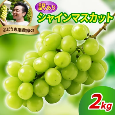 【先行予約】令和8年産 訳あり シャインマスカット 2kg 2026年9月上旬頃～お届け予定
