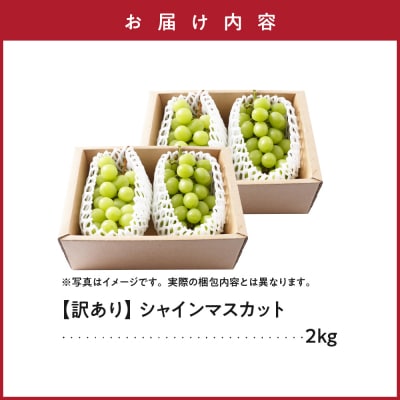 【先行予約】令和8年産 訳あり シャインマスカット 2kg 2026年9月上旬頃～お届け予定