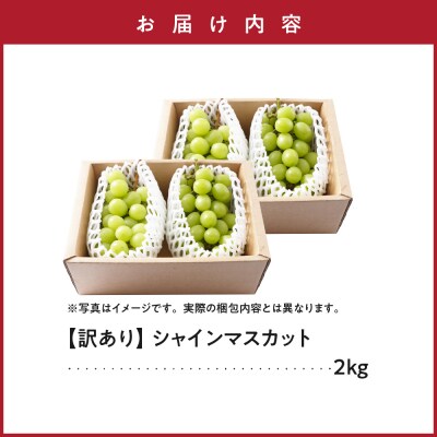 令和8年産 訳あり シャインマスカット 2kg