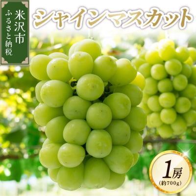 《先行受付》【令和7年産】シャインマスカット 1房(700g)〔2025年10月上旬頃～お届け〕