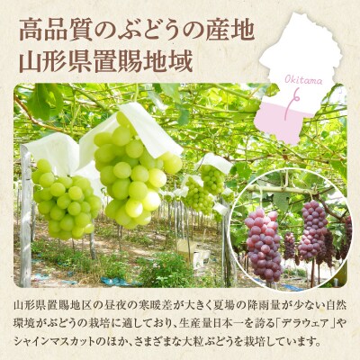 【先行受付】 令和8年産 シャインマスカット 1房 約700g