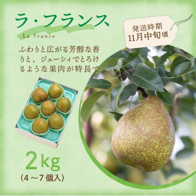 【令和7年産】ラ・フランス 2kg(4～7玉)〔2025年11月中旬頃～お届け〕