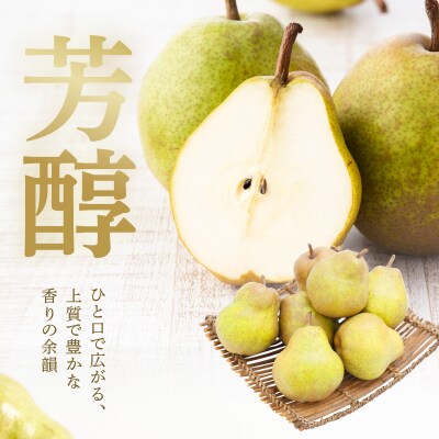 【先行受付】 令和8年産 西洋梨 ラ・フランス 約2kg 4玉 ～ 7玉