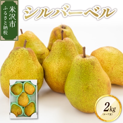 《先行受付》【令和7年産】シルバーベル 2kg(4～7玉)〔2025年12月中旬～お届け〕
