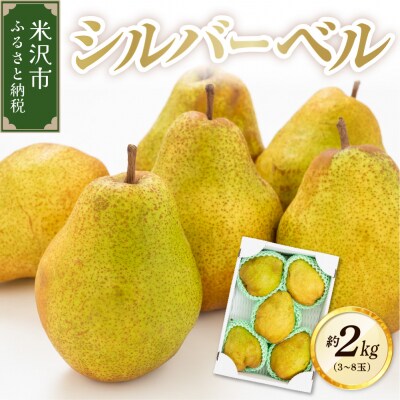 【先行受付】 令和8年産 西洋梨 シルバーベル 約2kg 3玉 ～ 8玉