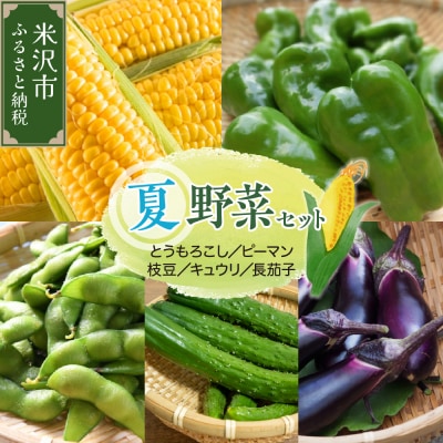 【先行受付】 令和8年産 トウモロコシと夏野菜セット