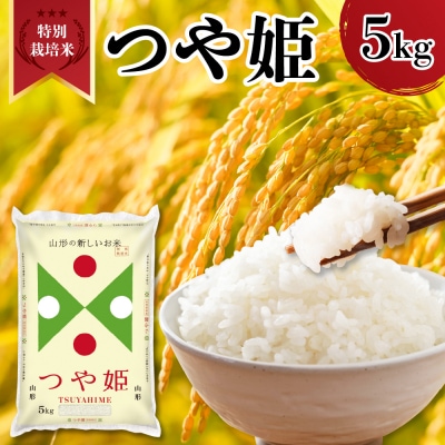 【令和7年産】 山形県産 特別栽培米 つや姫 5kg 精米
