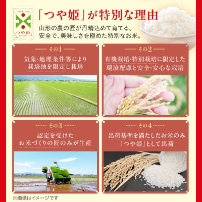 令和7年産 山形県産 特別栽培米 つや姫 5kg 精米