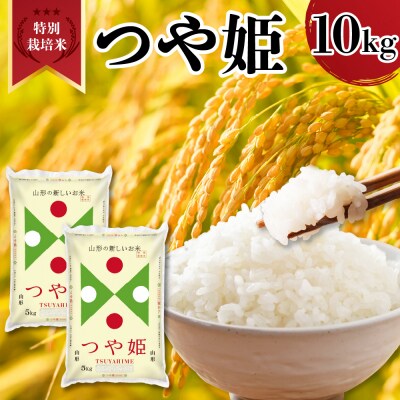 【令和7年産】 新米 山形県産 特別栽培米 つや姫 10kg 精米