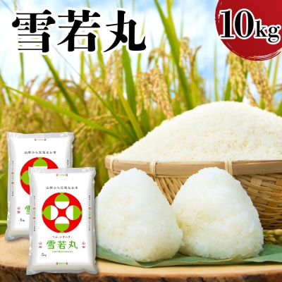 令和7年産 山形県産 雪若丸 10kg ( 5kg × 2袋 ) 精米