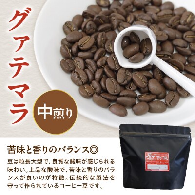 豆タイプ ダブル焙煎 コーヒー グァテマラ 200g × 1袋 ストレート 珈琲 豆