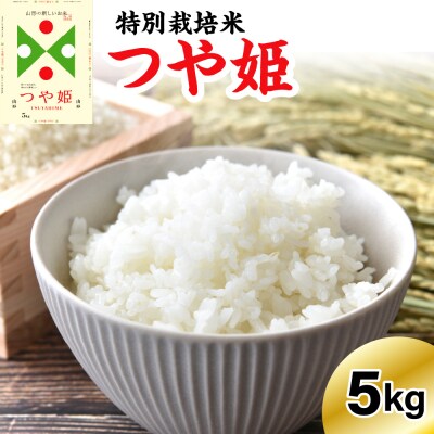 《先行予約》※2027年2月発送分※ 【令和8年産】 特別栽培米 つや姫 5kg 〔精米〕