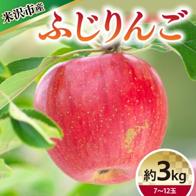 【令和8年産】 ふじ ( りんご ) 約3kg 7～12玉 〔12月上旬～お届け〕 2026年産
