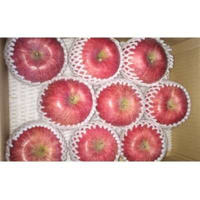 【令和8年産】 ふじ ( りんご ) 約3kg 7～12玉 〔12月上旬～お届け〕 2026年産