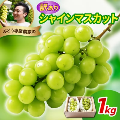 【先行予約】 令和8年産 訳あり シャインマスカット 1kg 2026年9月上旬頃～お届け予定