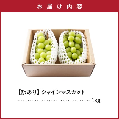 【先行予約】 令和8年産 訳あり シャインマスカット 1kg 2026年9月上旬頃～お届け予定