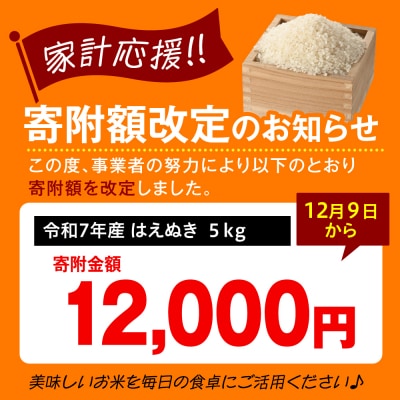 【 令和7年産】 はえぬき 5kg ( 5kg × 1袋 ) 