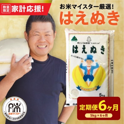 【6ヶ月定期便】 令和7年産 はえぬき 5kg × 6回 計30kg