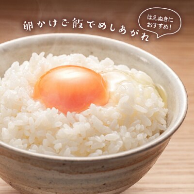 【 3ヶ月定期便 / 令和7年産 】 はえぬき 計10kg/月 ( 1回配送 5kg×2袋 )