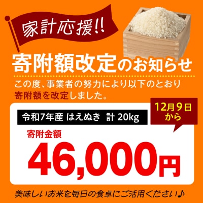 【 令和7年産 】 はえぬき 計20kg ( 5kg×4袋 )