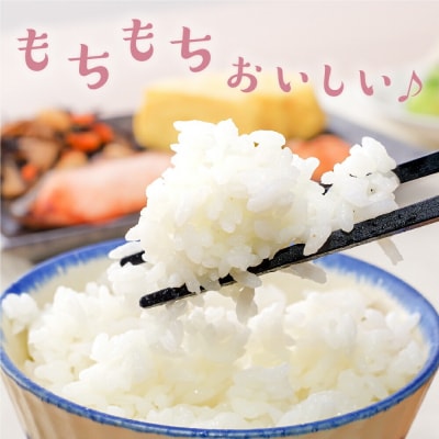  【 3ヶ月定期便 / 令和7年産】 はえぬき5kg