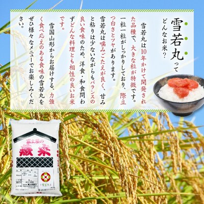 【 6ヶ月定期便 / 令和7年産 】 雪若丸 計10kg/月 ( 1回配送 5kg×2袋 )
