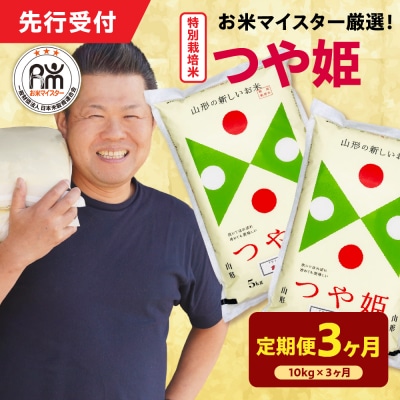 【 3ヶ月定期便 / 令和7年産 】 特別栽培米 つや姫 計10kg/月 ( 1回配送 5kg×2袋