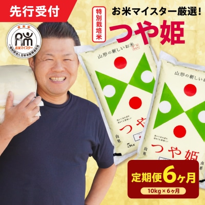 【 6ヶ月定期便 / 令和7年産 】 特別栽培米 つや姫 計10kg/月 ( 1回配送 5kg×2袋