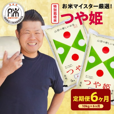 【 6ヶ月定期便 / 令和7年産 】 特別栽培米 つや姫 計10kg/月 ( 1回配送 5kg×2袋