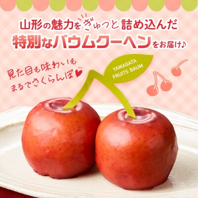 YAMAGATA FRUITS BAUM さくらんぼ バウムクーヘン 10～12月 5～6月 発送