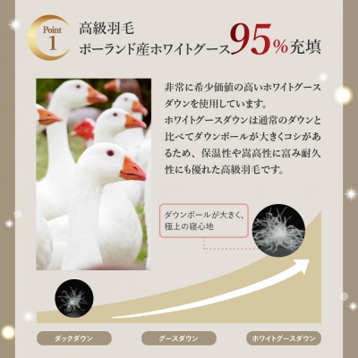 羽毛移動防止特殊構造 ポーランド産ホワイトグースダウン95% 羽毛増量高級掛け布団 ダブル ブルー
