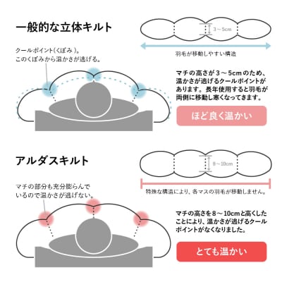 【羽毛移動防止 特許構造 羽毛 増量 タイプ】掛け布団 シングル アルダスキルト〔ブルー〕