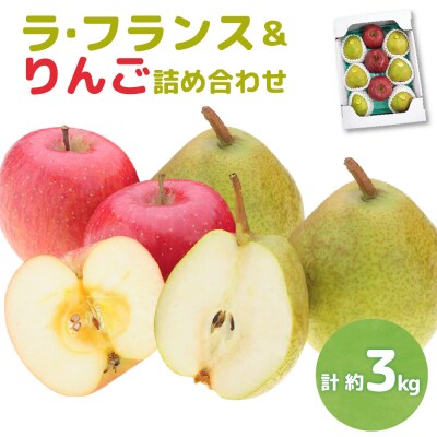 【先行受付】 令和8年産 ラ・フランス & りんご 詰め合わせ 計 約3kg