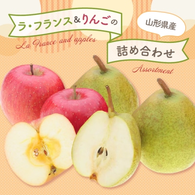【先行予約】令和7年産 ラ・フランス&りんご 詰め合わせ 計3kg 2025年11月中旬～ お届け