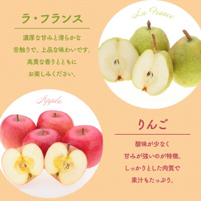 令和7年産 ラ・フランス&りんご 詰め合わせ 計3kg 2025年11月中旬～ お届け