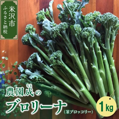 【令和8年産】ブロリーナ (茎ブロッコリー) 1kg 2026年10月～ 発送予定