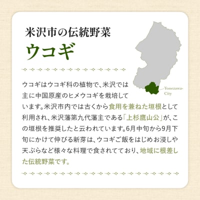 Ukogi Herb Tea ( ウコギハーブティー ) 3種 ミックスパック
