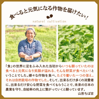 日本酒 惣邑 辛口純米酒 はつしごと 720ml×2本 自然栽培 さわのはな 使用