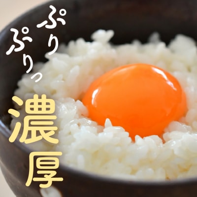 【6ヶ月定期便】 紅花たまご 30個セット (10個×3パック)/月 計180個