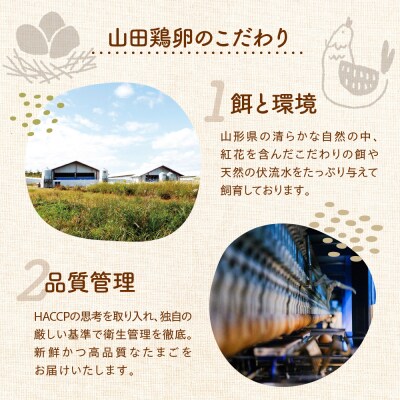 特選 紅花 生たまご 20個