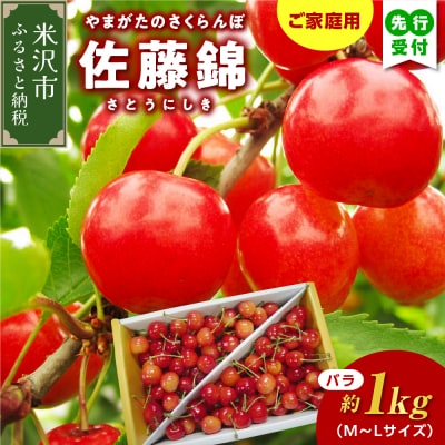 【先行受付】令和8年産 家庭用 訳あり さくらんぼ 佐藤錦 バラ詰め 1kg