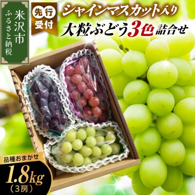 【先行受付】令和8年産 シャインマスカット入り 3色大粒ぶどう詰合せ 1.8kg(3房)
