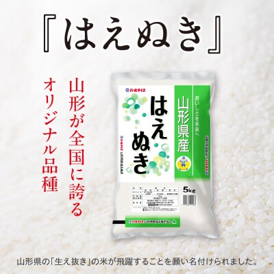 令和7年産 山形県産 はえぬき 5kg