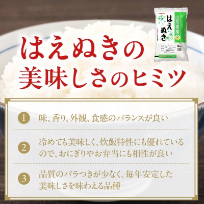 令和7年産 山形県産 はえぬき 5kg 精米
