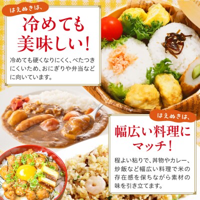 令和7年産 山形県産 はえぬき 10kg ( 5kg × 2袋 ) 精米