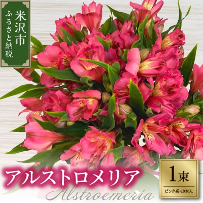 アルストロメリア 1束 ( 10本 入り ) 〔 ピンク系 〕 花 生花