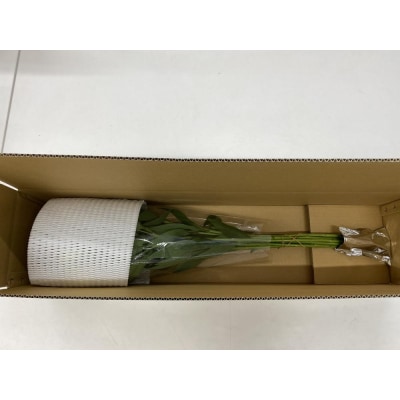 アルストロメリア 1束 ( 10本 入り ) 〔 ピンク系 〕 花 生花