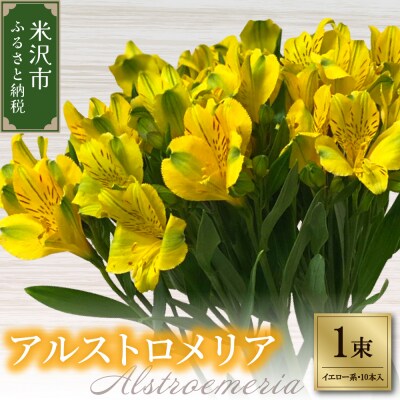 アルストロメリア 1束 ( 10本 入り ) 〔 イエロー系 〕 花 生花