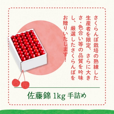 【先行受付】 令和8年産 さくらんぼ 佐藤錦 1kg ( 手詰め )