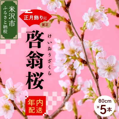 【年内発送】 【数量限定】 啓翁桜 ( けいおうざくら ) 80cm × 5本 切り花
